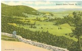 USA – United States – Draper's Valley, Pulaski, Virginia, Unused Linen Postcard [P6121] - Otros & Sin Clasificación