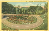 USA – United States – Loop Over On Newfound Gap Highway, Great Smoky Mountains National Park Unused Linen Postcard[P6153 - USA Nationale Parken