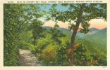 USA – United States – Path To Hickory Nut Falls, Chimney Rock Mountain, Western North Carolina, Unused Postcard[P6157] - Sonstige & Ohne Zuordnung