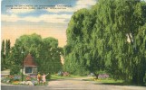 USA – United States – Scene In University Of Washington Arboretum, Washington Park, Seattle, Washington, Postcard[P6164] - Seattle