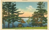 USA – United States – Greetings From Lake Sunapee, New Hampshire, Unused Linen Postcard [P6167] - Other & Unclassified