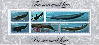 South West Africa - 1980 Whales MS MNH** - Wale