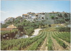 83. Cpsm. Gf. LE CASTELLET. Village. 10230 - Le Castellet