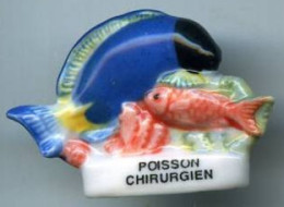 FEVES - FEVE - POISSON CHIRURGIEN - Animaux