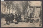 09 - Mirepoix -   Boulevard Des Remparts - Marché Aux Moutons - Mirepoix