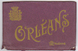 Carnet Complet De 10 Cartes à Déplier Brun Et Blanc - Orleans