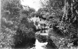 Les Bords De La Mauldre Au Vieux Moulin - Maule