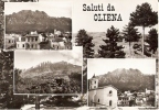 155/FG/13 - SALUTI DA: OLIENA (NUORO) - Nuoro