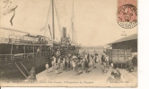 PHILIPPEVILLE - ARRIVEE D'UN STEAMER - DEBARQUEMENT DES PASSAGERS - Skikda (Philippeville)