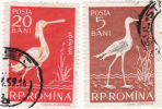 Romania -  Lopatar - Flamingo's