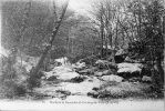 Rochers Et Cascades De Cernay La Ville - Cernay-la-Ville