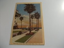 U.S.A. Beach Scene Princess Louise Hotel Corpus Christi Texas - Corpus Christi