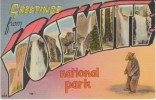 Large Letter Yosemite National Park California Greetings, C1930s Vintage Linen Postcard - USA Nationale Parken