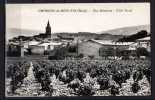 11 - Capendu-du-Bon-Vin (Aude) - Vue Générale - Coté Nord - Vignes - Capendu