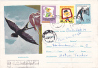 HIRONDELLE SWALOW Regisrted Cover Entier Postal Stationary 1961 Very Rare RRR,Romania. - Schwalben