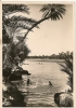 CPA-1950-AFRIQUE-NOIRE-N°       1192-LE  BAIN DES ENFANT DANS LA RIVIERE-TBE - Tchad