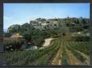 LE CASTELLET . Vue Panoramique. Voir Recto Verso       (N911) - Le Castellet