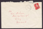 Norway Deluxe BRASKEREIDFOSS 1960 Cover To VIBORG Denmark - Storia Postale