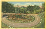 USA – United States – Loop Over, On Newfound Gap Highway, Great Smoky Mountains National Park, Unused Postcard [P6197] - Parques Nacionales USA