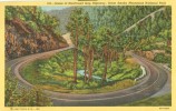 USA – United States – Scene Of Newfound Gap Highway, Great Smoky Mountains National Park, Unused Linen Postcard [P6202] - Parques Nacionales USA