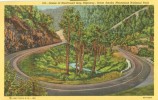 USA – United States – Scene Of Newfound Gap Highway, Great Smoky Mountains National Park, Unused Linen Postcard [P6202] - USA National Parks