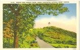USA – United States – Reddish Knob Lookout Tower, George Washington National Forest, Virginia, Unused Postcard [P6214] - Andere & Zonder Classificatie