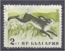 BULGARIA 1958 Forest Animals - 2s  Brown Hare FU THINNED - Oblitérés