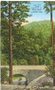 USA – United States – 200-Loop Near Newfound Gap, Great Smoky Mountains National Park 1930s Unused Postcard [P6239] - Parques Nacionales USA