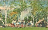 USA – United States – Out In The Open, Camping In The White Mts. NH, Unused Linen Postcard [P6241] - White Mountains