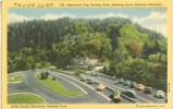 USA – United States – Newfound Gap Parking Area, Great Smoky Mountains National Park, Unused Linen Postcard [P6275] - Smokey Mountains