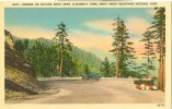 USA – United States – Sunrise On Skyline Drive Near Clingman's Dome, Great Smoky Mountains Park,  Unused Linen Postcard - Smokey Mountains