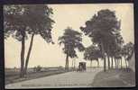 CPA  ANCIENNE- FRANCE- BONNIERES (78)- LE TOURNANT DE LA COTE- L'ARBRE FATAL EN GROS PLAN- VIEILLE AUTO DE FACE- GERBES - Bonnieres Sur Seine