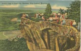 USA – United States – Lover's Leap In Rock City Garden, Atop Lookout Mountain, Unused Linen Postcard [P6305] - Chattanooga