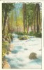 USA – United States – Ashland Creek In Chatauqua Park, Ashland, Oregon, Early 1900s Unused Postcard [P6317] - Autres & Non Classés