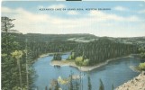 USA – United States – Alexander Lake On Grand Mesa, Western Colorado, Unused Linen Postcard [P6334] - Mesa Verde