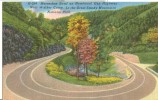 USA – United States – Horseshoe Bend On Newfound Gap Highway, Great Smoky Mountains National Park  Unused Postcard[P6336 - Smokey Mountains