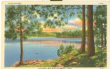 USA – United States – Quiet Waters, Gardner Lake Near Norwich, Conn, Unused Linen Postcard [P6353] - Andere & Zonder Classificatie