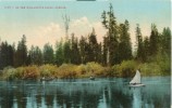 USA – United States – On The Willamette River, Oregon, Early 1900s Unused Postcard [P6371] - Sonstige & Ohne Zuordnung