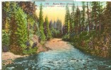 USA – United States – Rogue River, Oregon, Early 1900s Unused Postcard [P6372] - Sonstige & Ohne Zuordnung