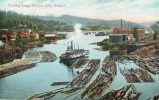 FLOTTAGE DU BOIS  Oregon City (Etats Unis) Floating Logs - Sonstige & Ohne Zuordnung