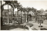 SAO PAULO (Brésil) Vue Du Parc - São Paulo