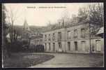 CPA  ANCIENNE- FRANCE- MAULE (78)-  CHATEAU DE LA ROLANDERIE EN TRES GROS PLAN - Maule