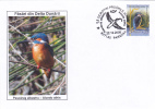 Seagulls "Alcedo Athis" 2009 Cover Stamps Obliteration Concordante ,Romania. - Seagulls