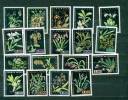 VENEZUELA: Fleurs Orchidees (yvert 649/56 + PA)  Serie Complete  * - Orchids