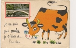 Je Ne Suis Pas Vache  Je T'écris De   PRADES - Prades