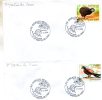 Enveloppe  Timbrée  ( Document  ) Serie De 2  Timbres  Des Oiseaux Menacés A Saint-Martin De Crau  13 Le 4 11 2000 - Kiwi