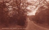 B5798 Bournemouth Road Lyndhurst New Forest   Not Used Perfect Shape - Bournemouth (a Partire Dal 1972)