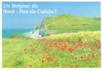CP CAP BLANC NEZ COTE OPALE NORD PAS DE CALAIS PUBLICITE AFIBEL - Nord-Pas-de-Calais