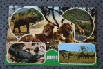 CPM  : KEYNYA AFRIQUE OUEST JAMBO  LIONS CROCODILE ZEBRES LIONS GIRAFE MASAI TIMBRES MINERAUX AMETHYSTE KAYANITE - Kenya