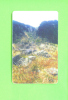 ROMANIA - Chip Phonecard As Scan - Rumania